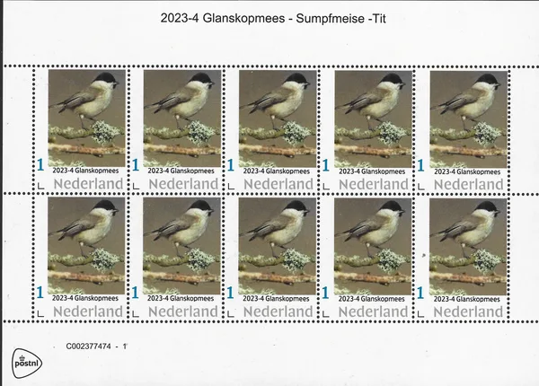 Netherlands 2023-4 Tits: Coal tit - Marsh tit sheetlet MNH