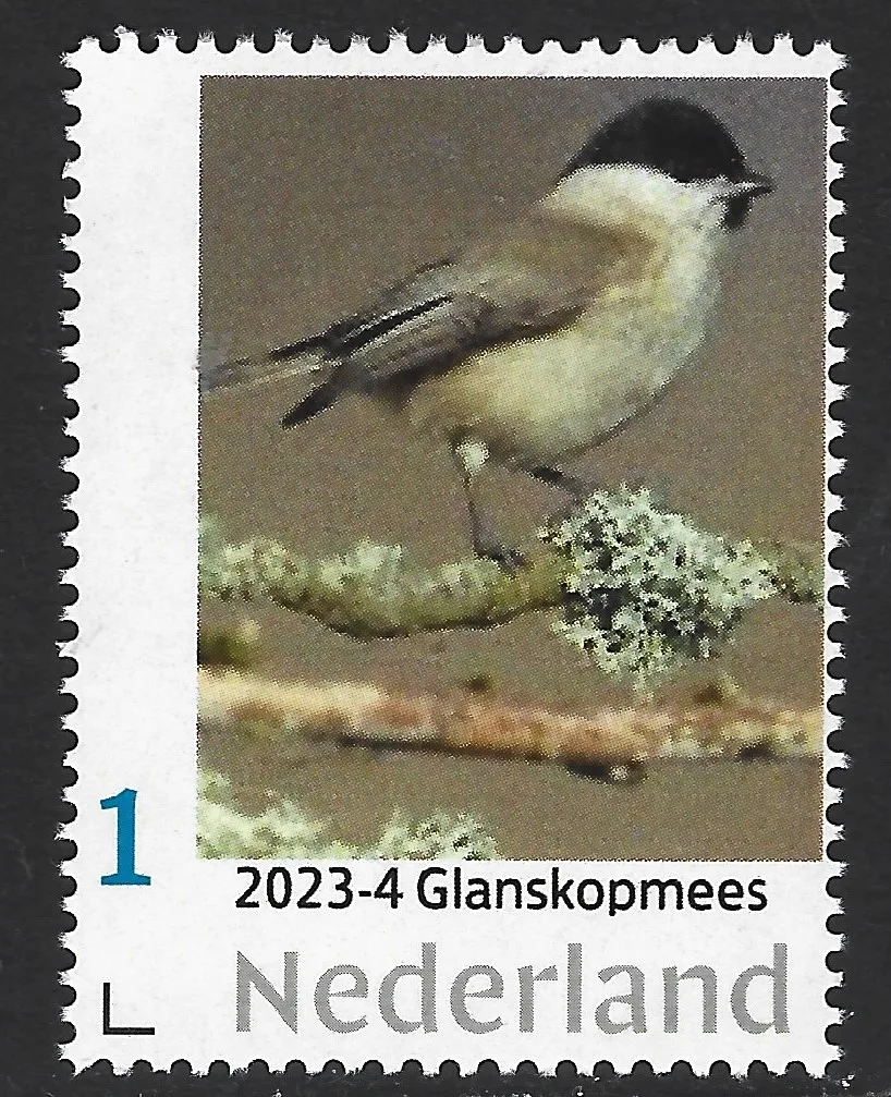 Niederlande 2023-4 Meisen – Sumpfmeise postfrisch/mnh