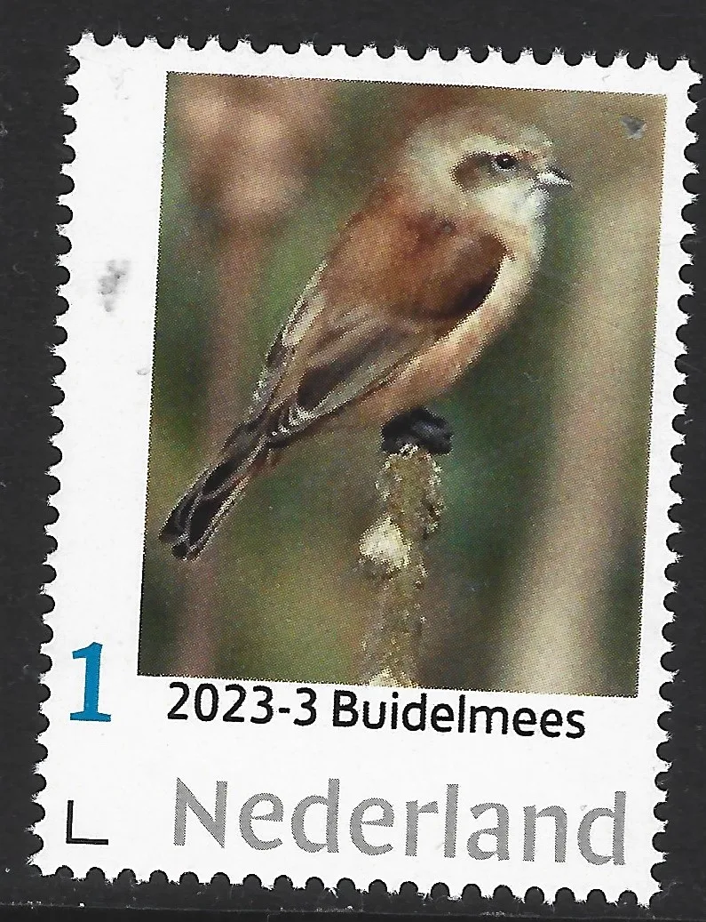Pays-Bas 2023-3 Mésanges - Rémiz penduline : timbre neuf/nh