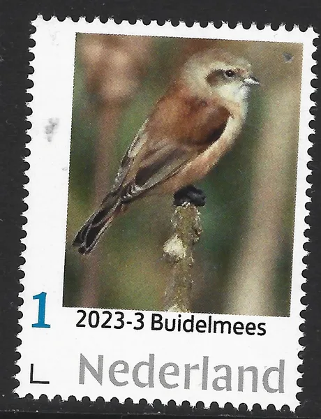 Netherlands 2023-3 Tits: Penduline tit MNH