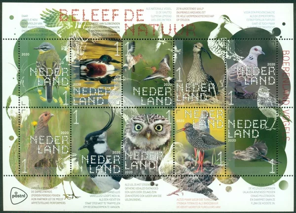 Netherlands 2020 Experience Nature V3824-3833 sheet-sheetlet unmounted MNH