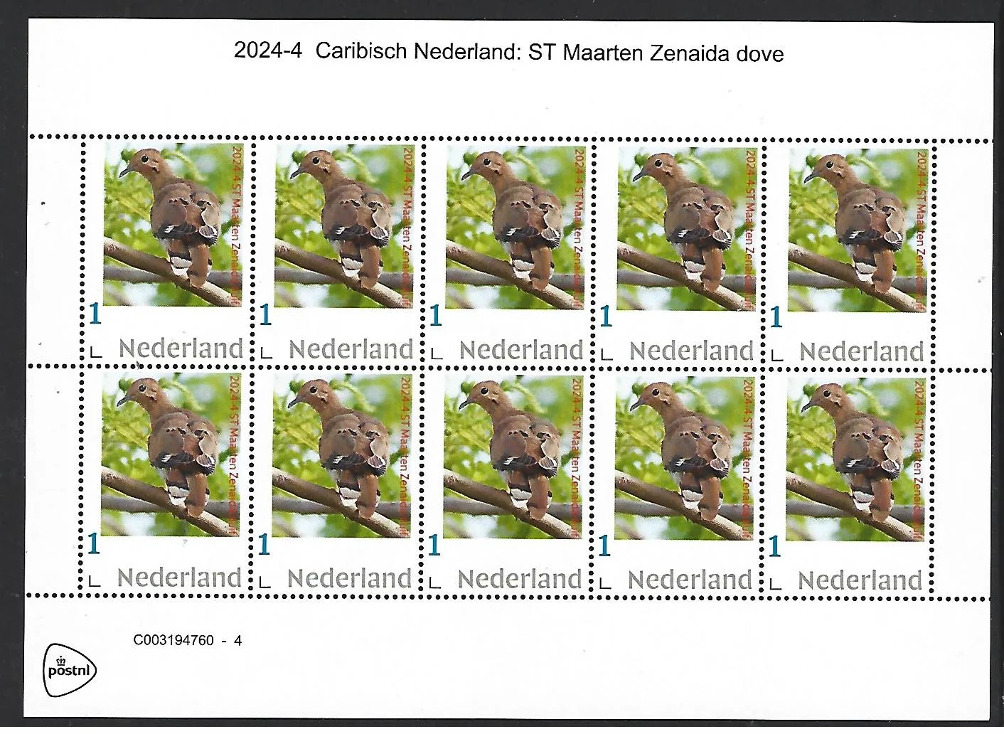Niederlande 2024-4 Karibisches Niederländisch Sint Maarten Zenaida Dove Vogel Kleinbogen postfrisch/mnh