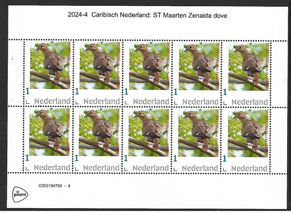 Netherlands 2024-4 Caribbean Neth St Maarten Zenaida Dove bird sheetlet MNH
