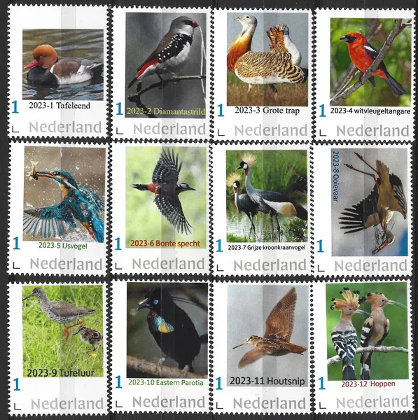 Netherlands 2023-Birds complete yearset MNH