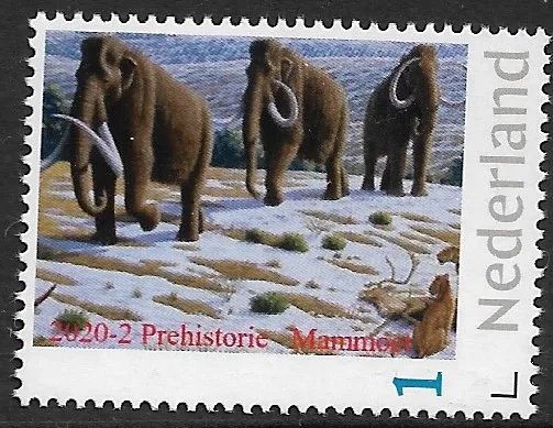 Netherlands 2020-2 Prehistory Mammoth MNH