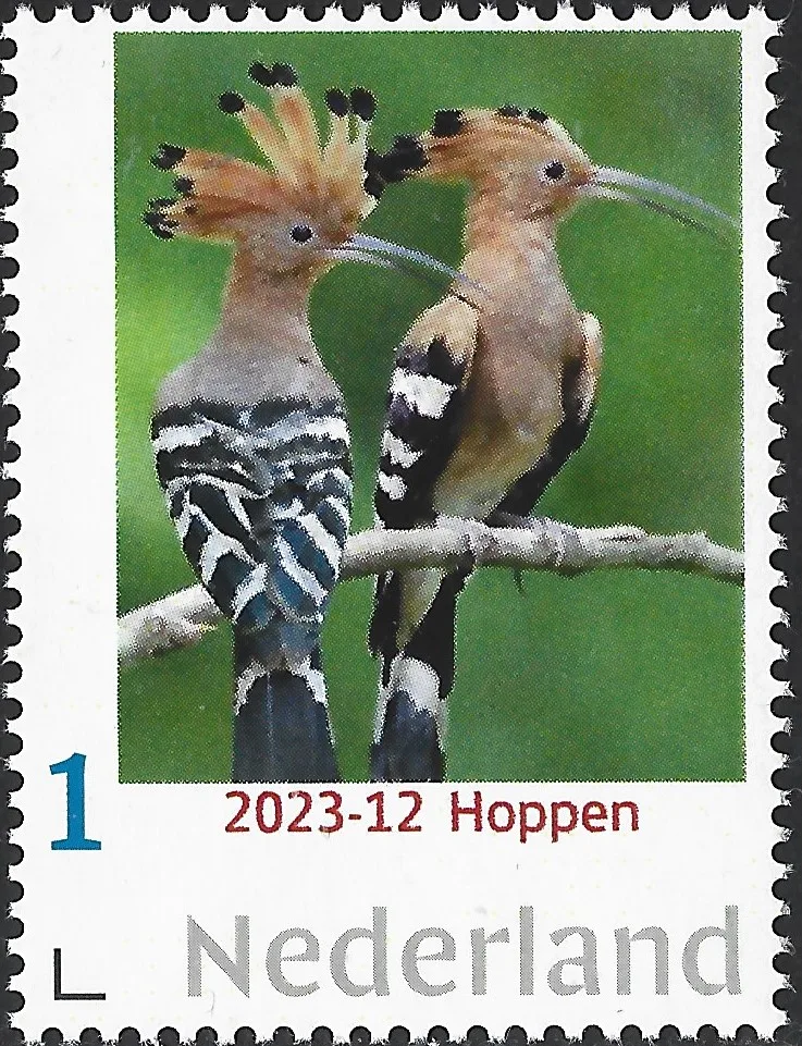 Niederlande 2023-12 Vögel; Wiedehopf postfrisch/mnh