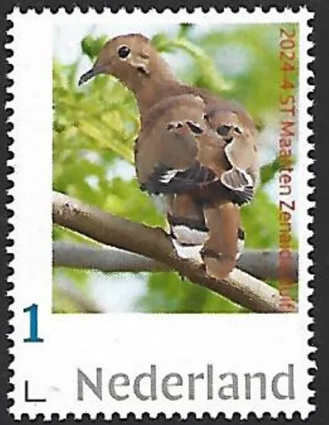 Nederland 2024-5 Caribisch Nederland: St Maarten Zenaida dove postfris/mnh