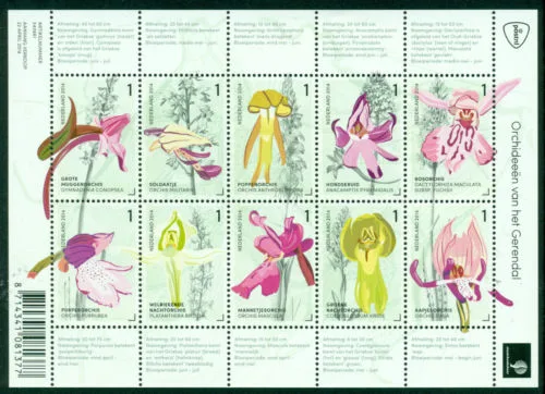 Netherlands V3175-3184 Orchids 2014 sheetlet MNH