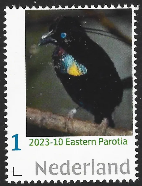 Nederland 2023-10 Vogels-Birds Eastern Paroliia postfrs//mnh