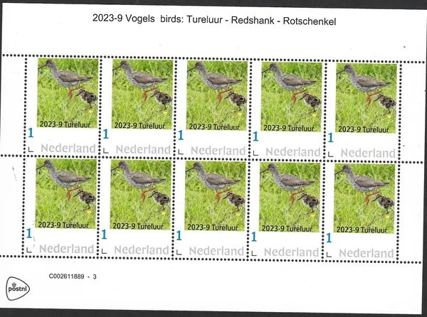 Nederland 2023-9 Vogels Birds: Tureluur Redshank vel-sheetlet postfris/mnh