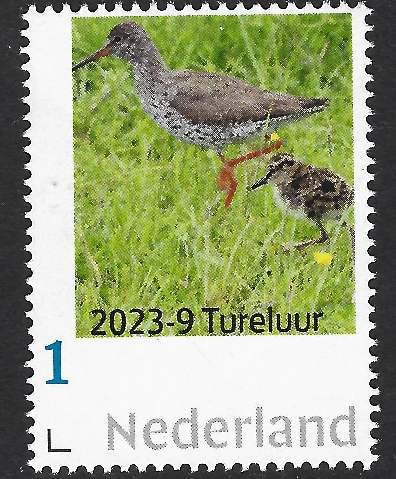 Niederlande 2023-9 Vögel: Rotschenkel postfris/mnh