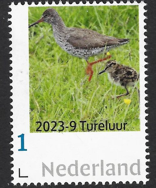 Nederland 2023-9 Vogels Birds: Tureluur Redshank postfris/mnh
