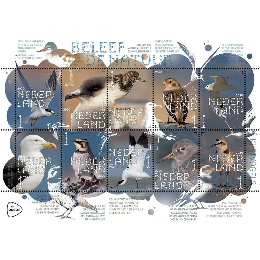 Pays-Bas 2020 Découvrez la nature oiseaux V3849-3858 feuille postfris-mnh