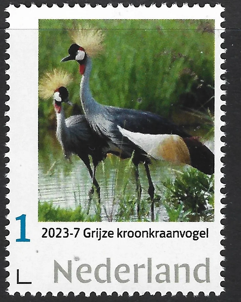 Niederlande 2023-7 Vögel: Kronenkranich postfrisch/mnh