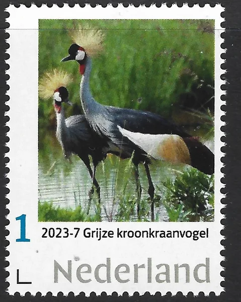 Nederland 2023-7 Vogels- Birds: Krooonkraanvogel Grey Crowned Crane postfris/mnh