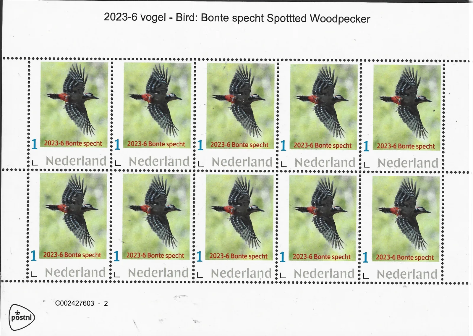 Pays-Bas 2023-6 Oiseaux : Pic épeichette - Spotted woodpecker bloc-feuillet neuf/mnh