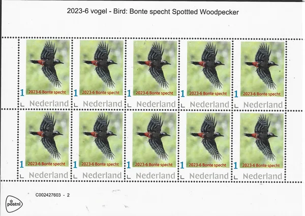 Nederland 2023-6 Vogels- birds:Bonte Specht -Spotted woodpecker vel-sheetlet postfris/mnh