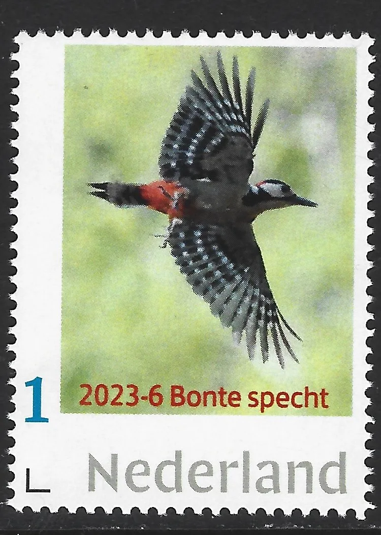 Niederlande 2023-6 Vögel: Buntspecht postfris/mnh