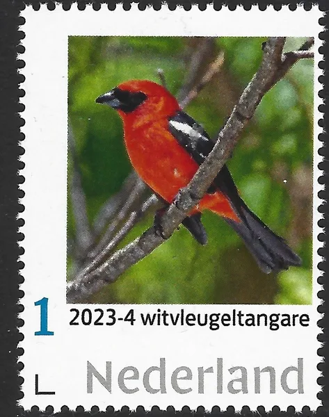 Netherlands 2023-4 Birds White-winged Tanager MNH