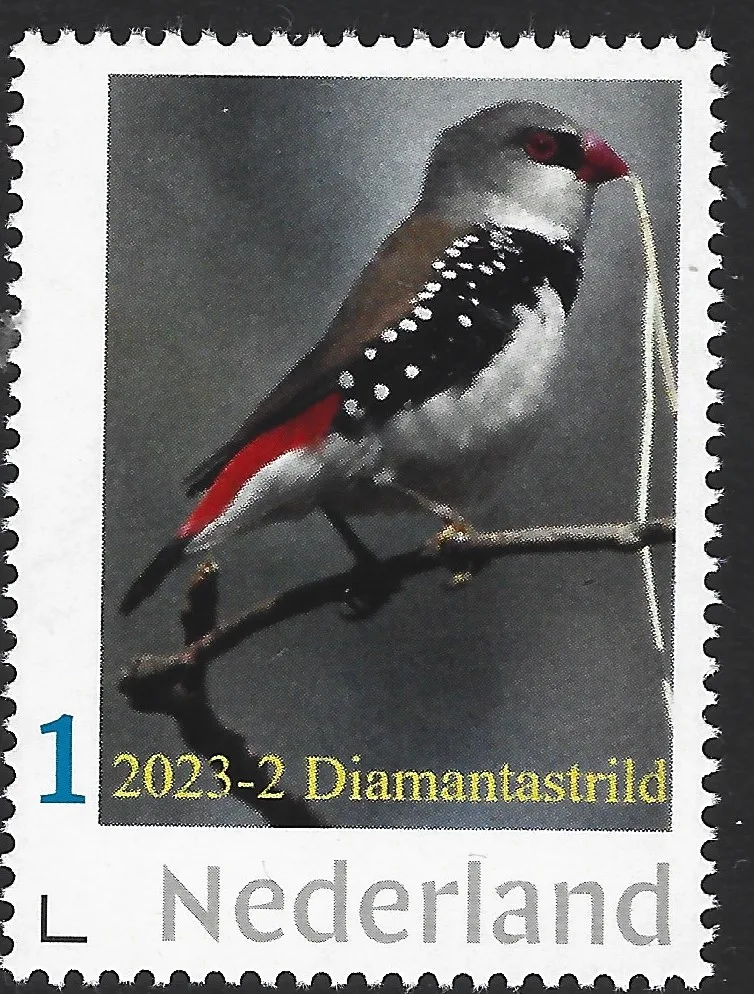 Pays-Bas 2023-2 Oiseaux : chardonneret diamanté postfris/mnh