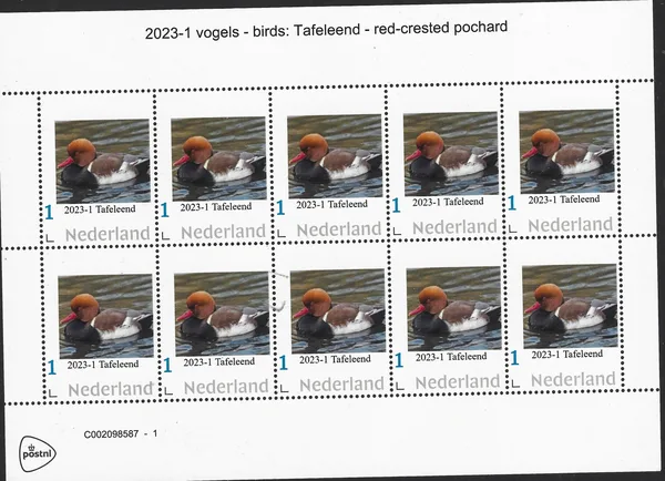 Netherlands 2023-1 birds Red crested pochard sheet MNH
