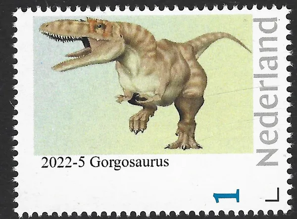 Netherlands 2022-5 Prehistory prehistoric: Gorgosaurus MNH
