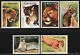 697-702 Roofdieren- WNF- WWF 1991 postfris