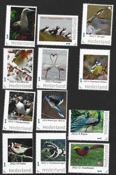 Nederland 2022 vogels birds jaarset - yearset complete !! postfris/mnh