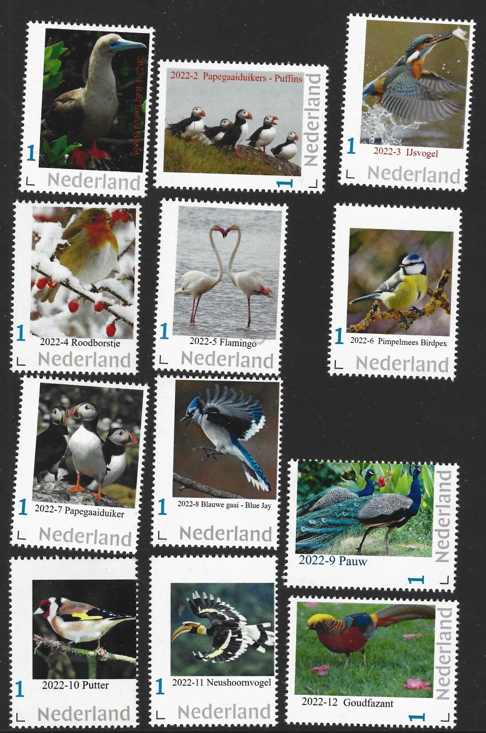 Niederlande 2022 Vögel Jahrsatz - vollständig !! postfrisch/mnh