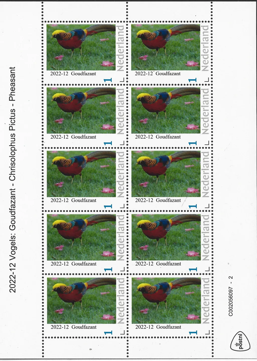 Niederlande 2022-12 Vögel Goldfasan Bogen postfrisch/mnh