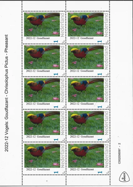 Netherlands 2022-12 Birds Golden Pheasant sheet MNH