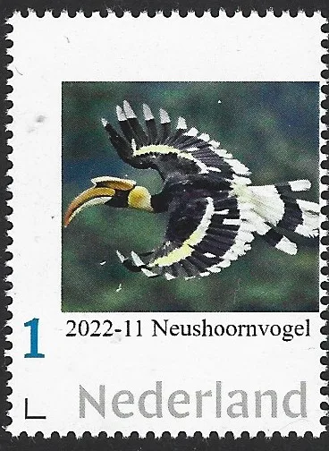 Niederlande 2022-11 Vögel; Nashornvogel postfrisch/mnh