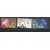 1601-1603 Nature and Environment, flowers 1994 used
