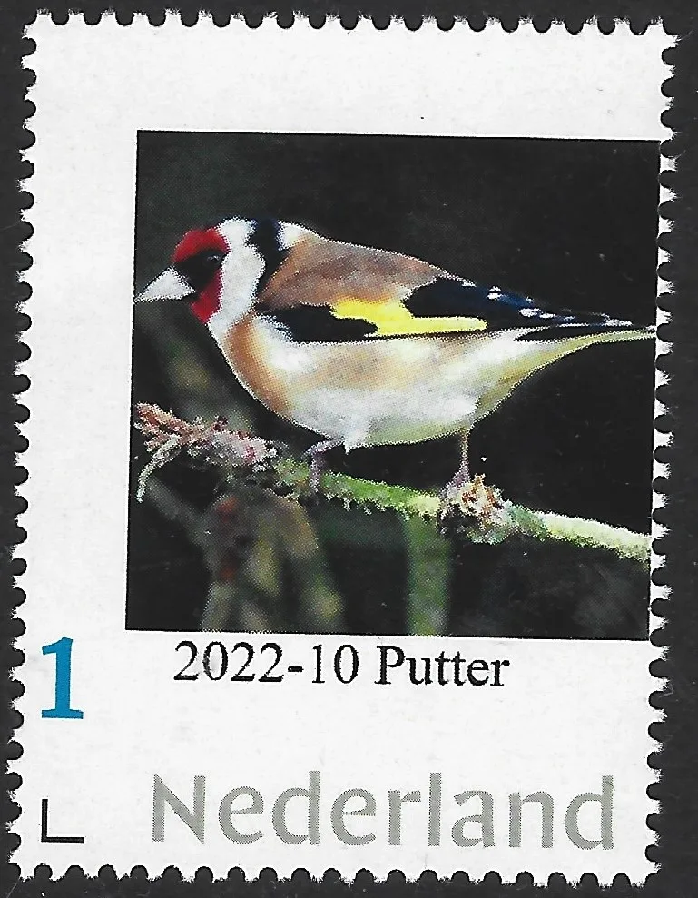 Pays-Bas 2022-10 Oiseaux - Birds: Chardonneret Goldfinch neuf/mnh