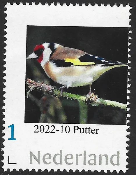 Nederland 2022-10 Vogels -Birds: Putter Goldfinch postfris/mnh