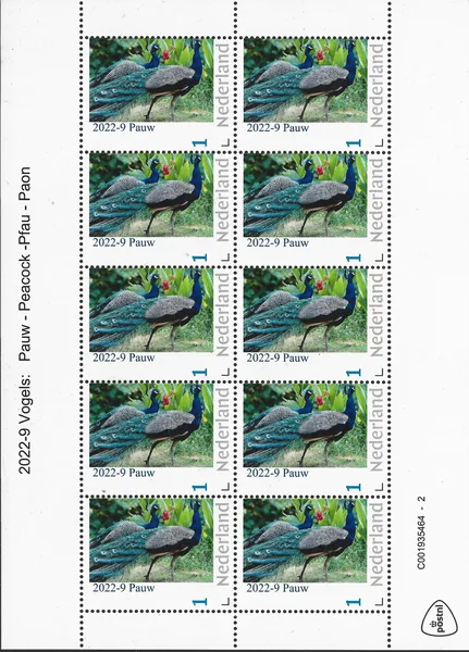 Nederland 2022-9 Vogels birds Pauw Peacock vel-sheetlet postfriis/mnh