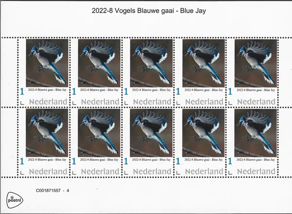 Nederland 2022-8 Vogels Blauwe gaai - Blue Jay vel-sheetlet postfris-mnh
