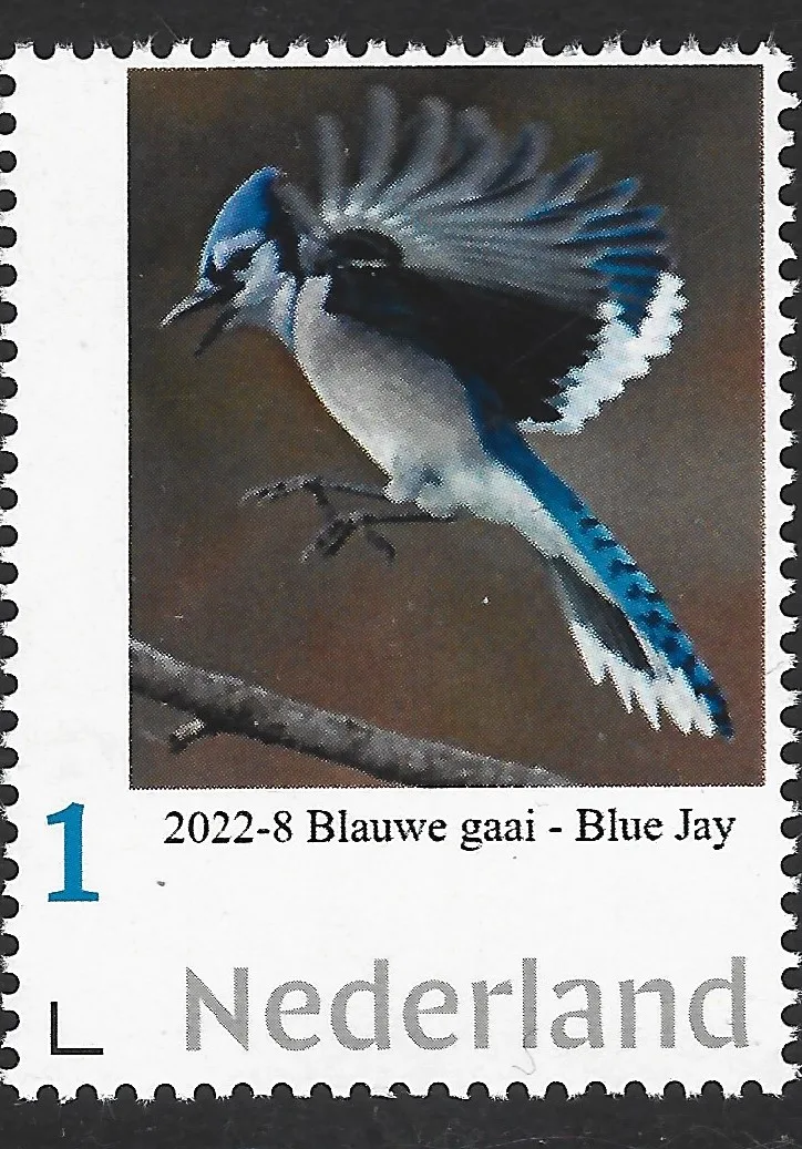 Pays-Bas 2022-8 Oiseaux Geai bleu neuf