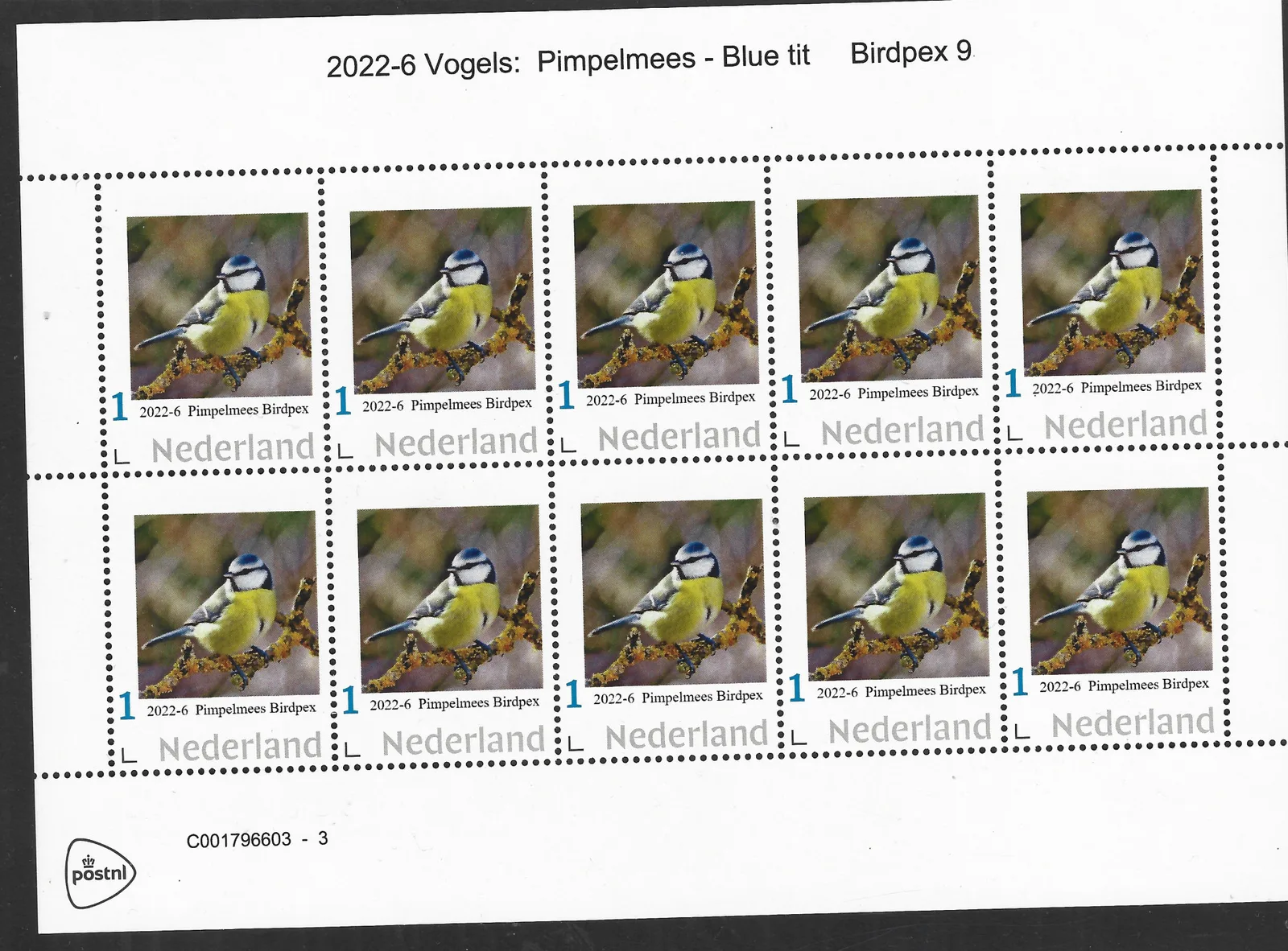Pays-Bas 2022-6 Oiseaux Mésange bleue feuille postfris/mnh