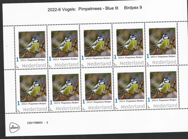 Netherlands 2022-6 Birds Blue tit sheet MNH