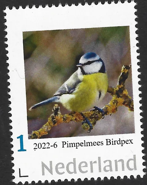 Nederland 2022-6 Vogels- birds Pimpelmees Blue tit Birdpex 9 postfris/mnh