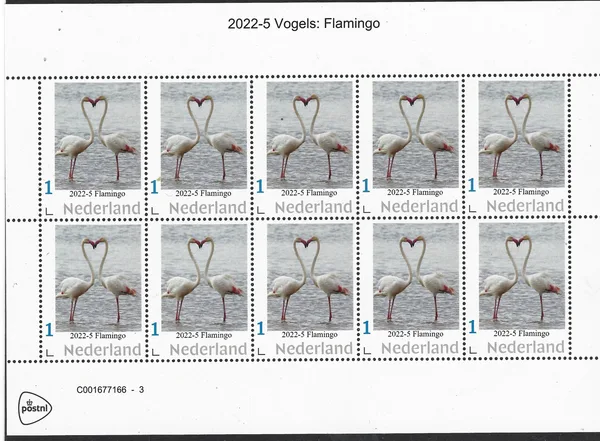 Nederland 2022-5 vogels birds: Flamingo vel-sheetlet postfris-mnh