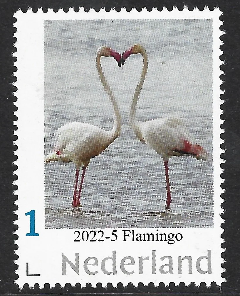 Pays-Bas 2022-5 oiseaux : Flamant rose neuf-mnh