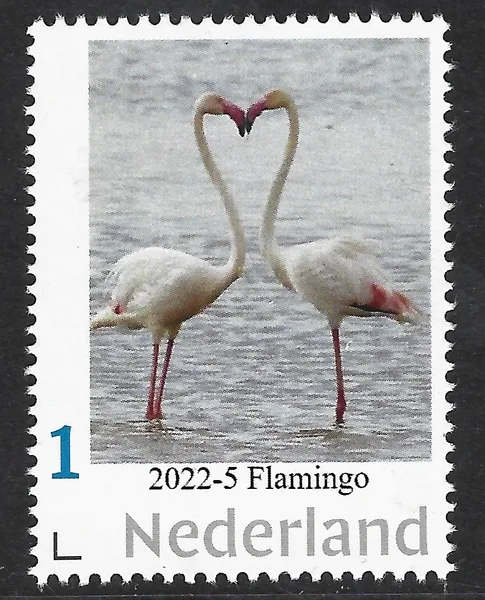 Netherlands 2022-5 birds: Flamingo MNH