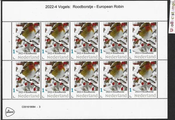 Nederland 2022-4 Vogels Roodborstje Robin sheet postfris/mnh