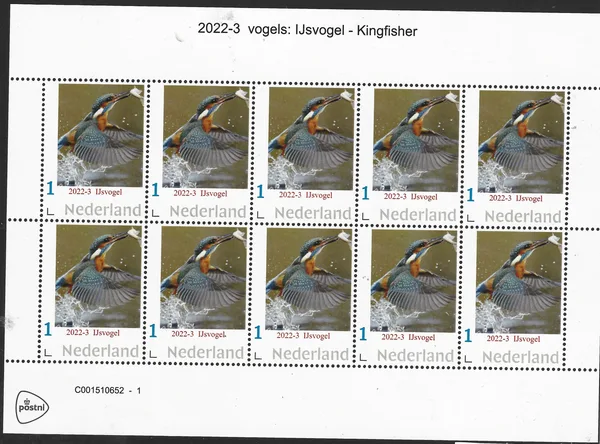 Netherlands 2022-3 birds: Kingfisher sheet MNH