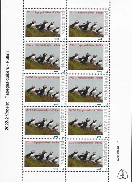 Nederland 2022-2 Vogels: Papegaaiduiker Puffin vel-sheetlet postfris/mnh