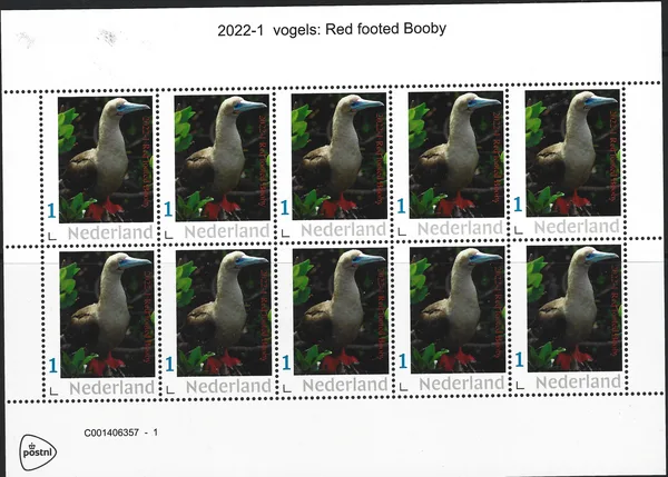 Nederland 2022-1 Vogels Birds Red footed booby vel-sheetlet postfris/mnh