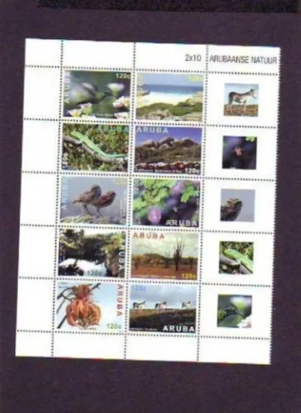 Aruba 2013 Nature birds donkey lizard MNH
