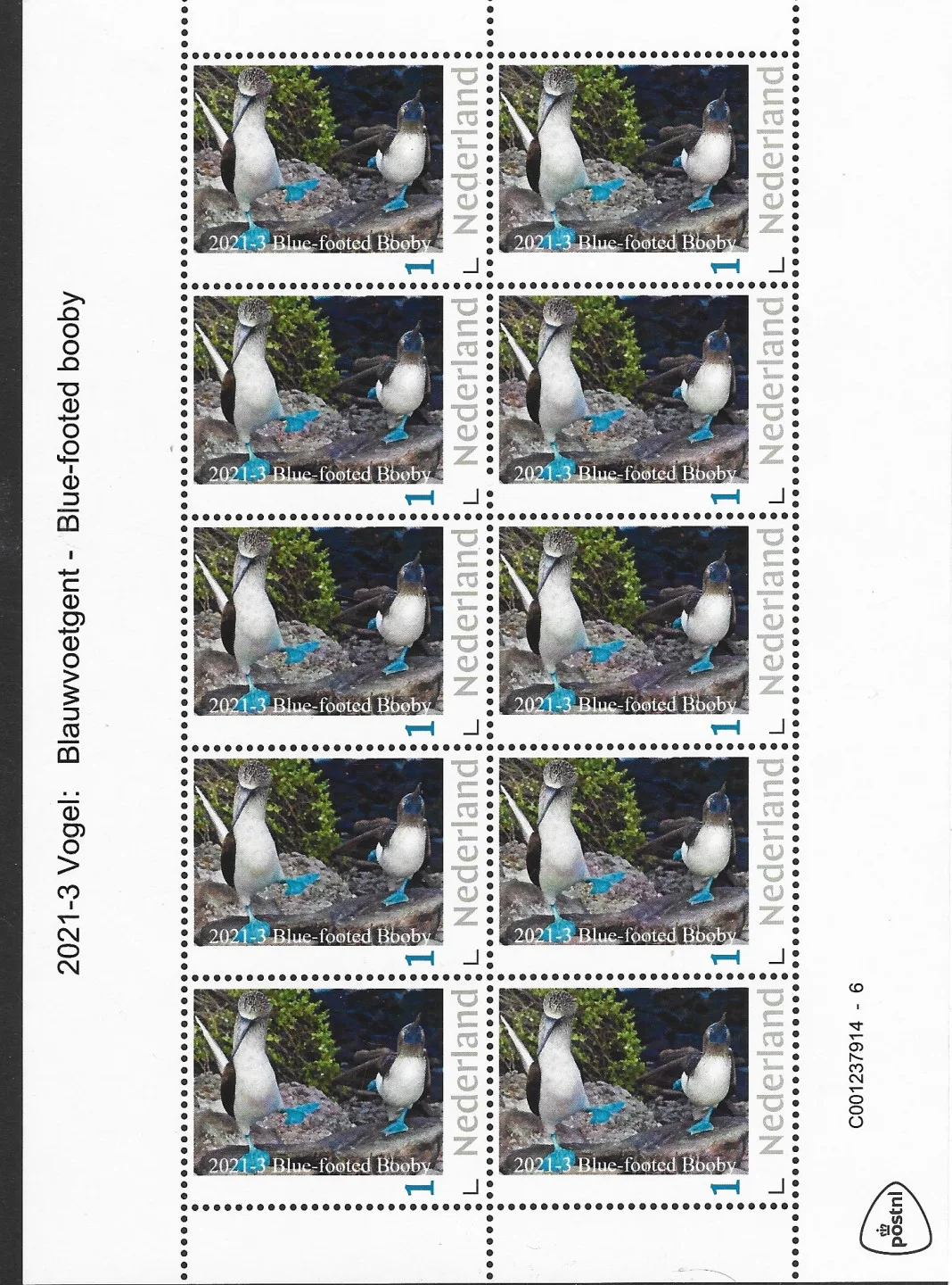 Pays-Bas 2021-3 oiseaux fou à pieds bleus feuille neuve/nmh